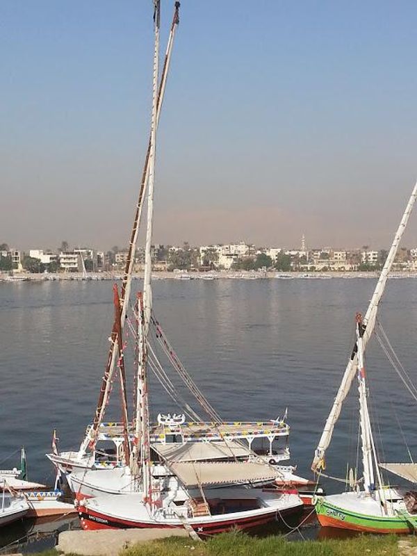 Luxor Private Tour - null