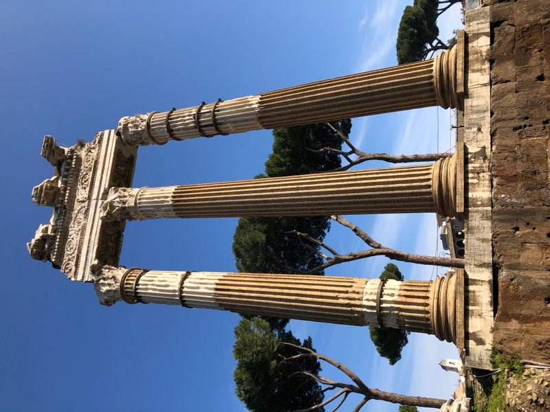 Rome Private Tour - Temple of Venus, built by Julius Caesar 