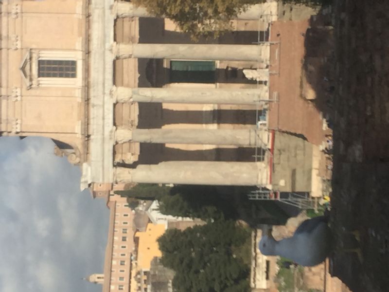 Rome Private Tour - Temple of Faustina and Antonino Pio
