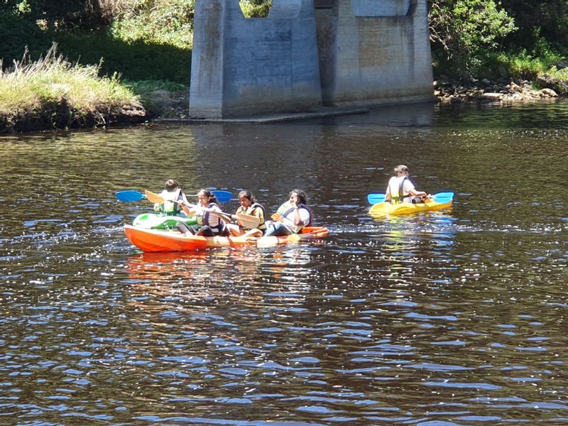 Cape Town Private Tour - Canoeing