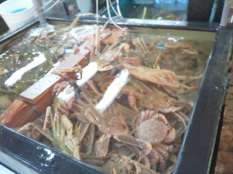 Tokyo Private Tour - Crab shop / Tsukiji Inner Market
