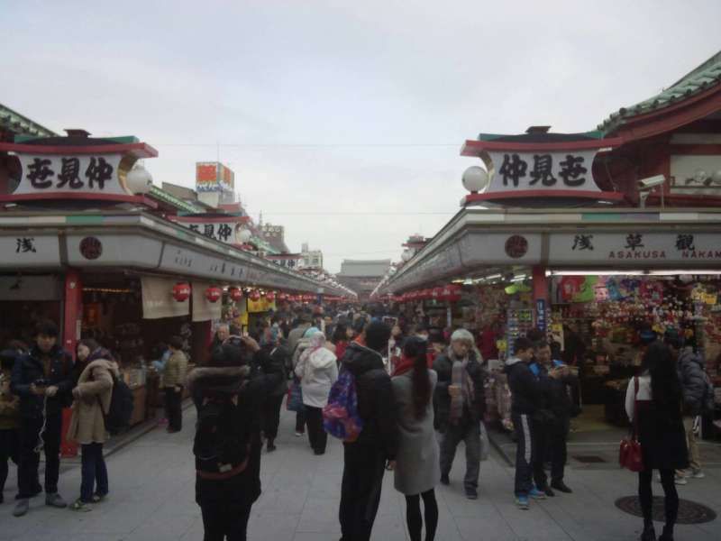 Tokyo Private Tour - Entrance of Nakamise / Asakusa