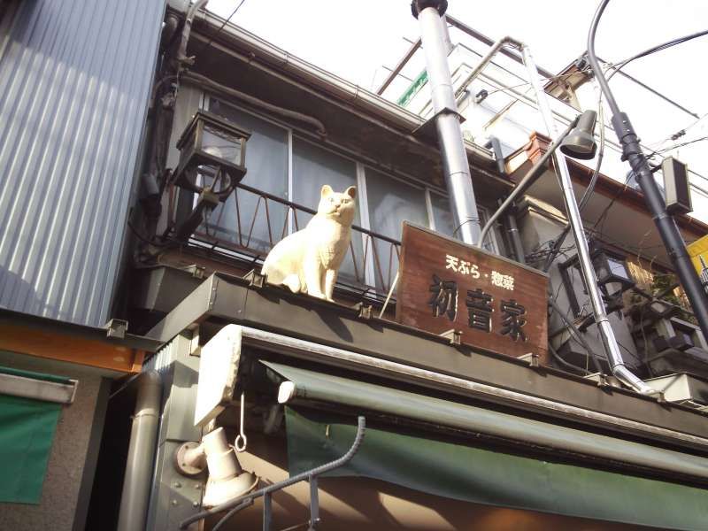 Tokyo Private Tour - Yanaka:cats' town