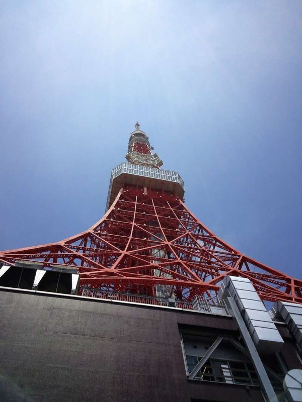 Tokyo Private Tour - From the bottom of Tokyo Tower