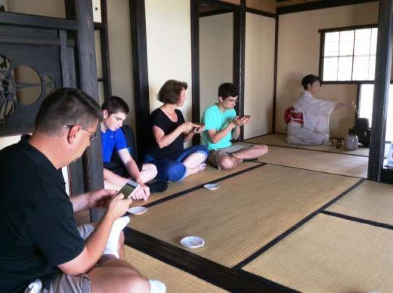 Other Shizuoka Locations Private Tour - Tea ceremony in July