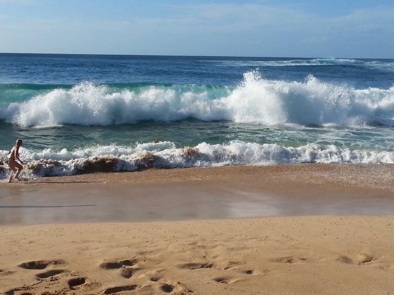 Hawaii (Oahu) Private Tour - Surf's up at Waimea Bay!