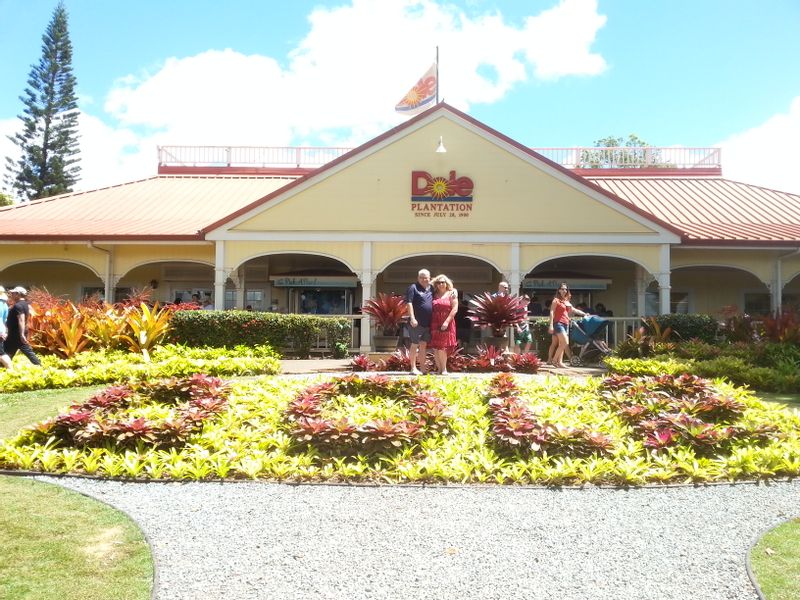 Hawaii (Oahu) Private Tour - Dole Plantation for Dole Whip pineapple ice cream!