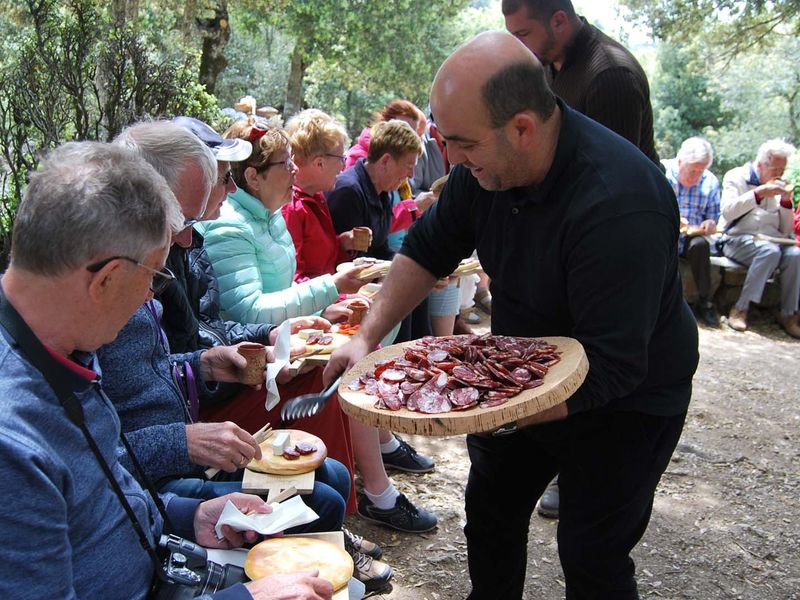 Sardinia Private Tour - everything is served in the forests under the trees 