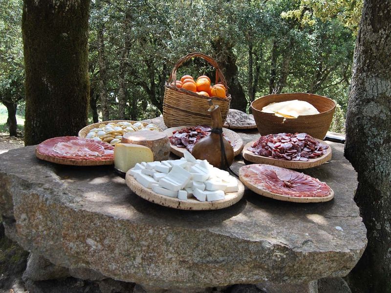 Sardinia Private Tour - also for the lunch you have a large variety appetizers: Sardinian salami, cheeses, special breads, etc 