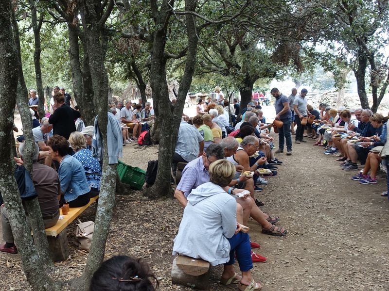 Sardinia Private Tour - the lunch is served under the trees of the Supramonte forest