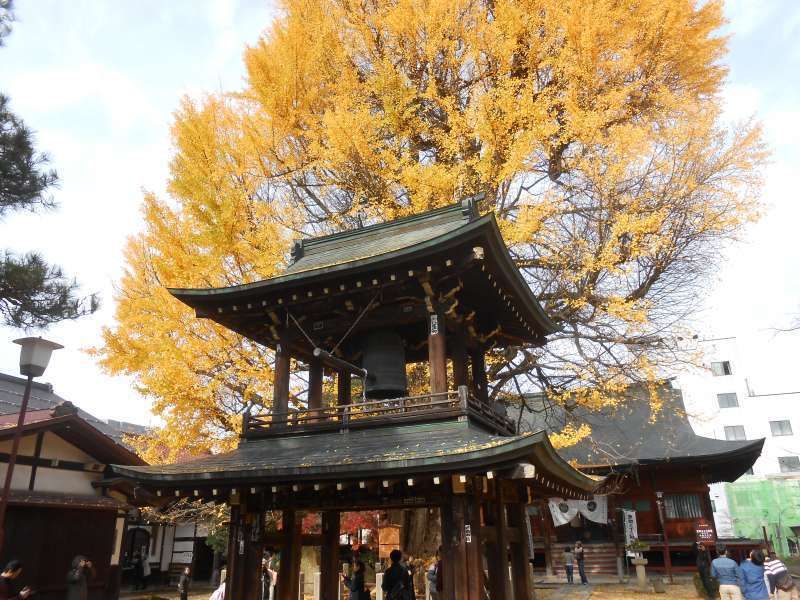 Takayama Private Tour - Kokubunji temple 