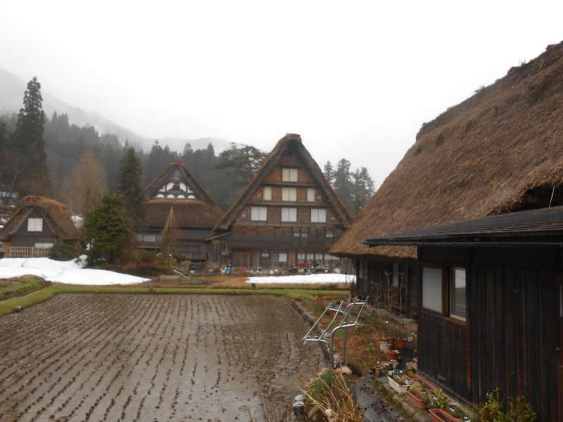 Takayama Private Tour - Gasho farmhouses at Shirakawago