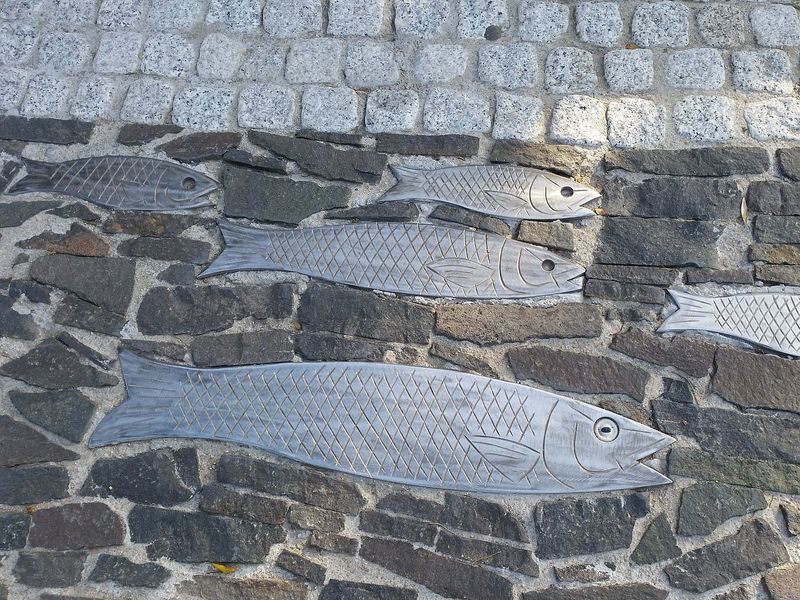 Olbia Private Tour - The road called "the food chain" by Emanuel Chapalain