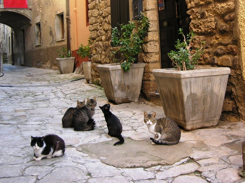 Sardinia Private Tour - Narrow streets of Castelsardo