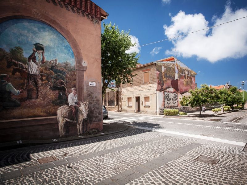 Sardinia Private Tour - Murales of Tinnura