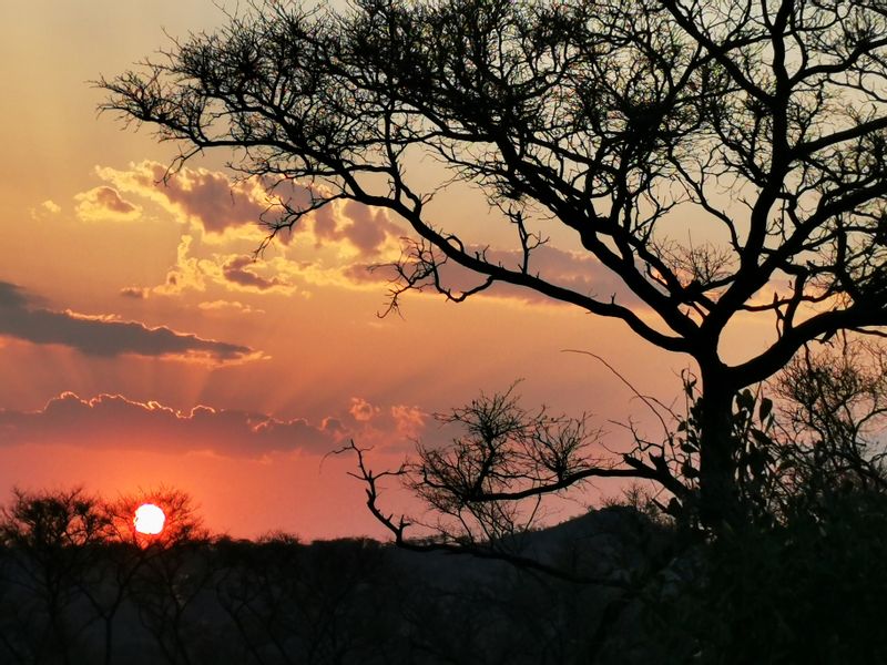 Pretoria Private Tour - The bush sunset Just love it