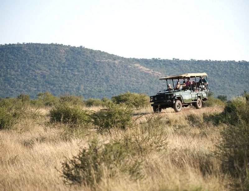 Pretoria Private Tour - Game drives Pilansberg