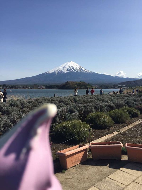 Mount Fuji Private Tour - Lake Kawaguchi, Mt. Fuji and the blueberry icecream.