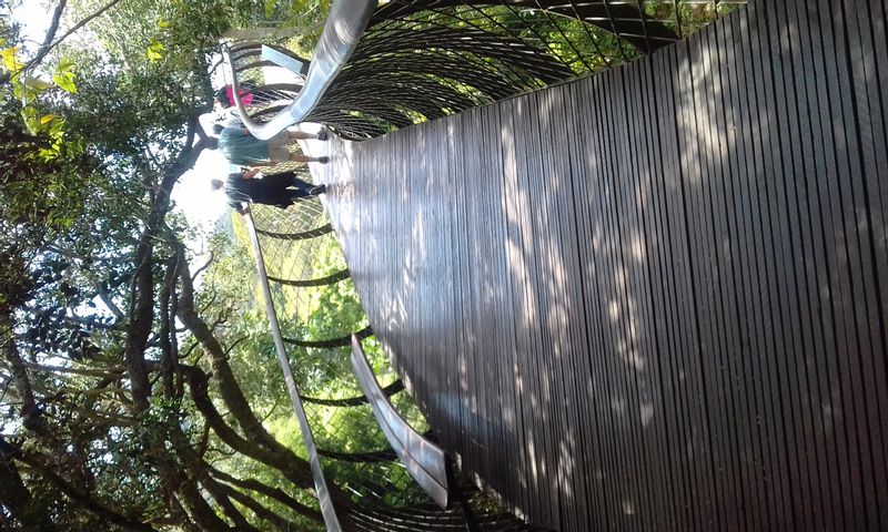 Cape Town Private Tour - Canopy Tree Walk