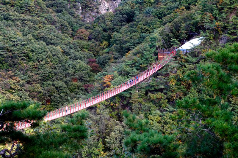 Seoul Private Tour - Mt. Ganaksan Suspension Bridge [사진제공 한반도관광센터 비켄 - 한국관광공사]