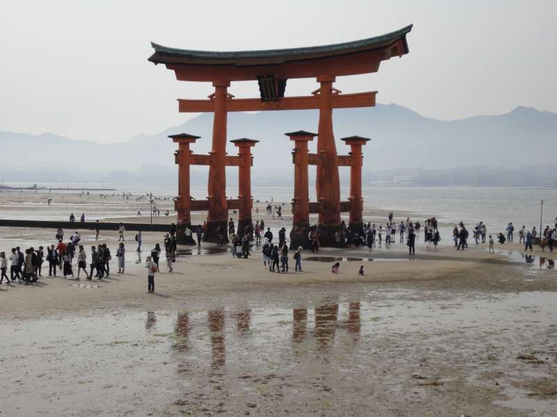 Hiroshima Private Tour - You may approach to this very famous Great Toriii Gate for the Itsukushima Shrine when the tide is on the ebb.