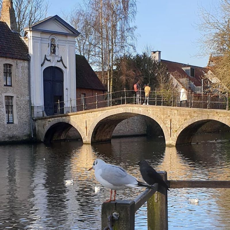 Brussels Private Tour - The Monastery of the Beguinage 