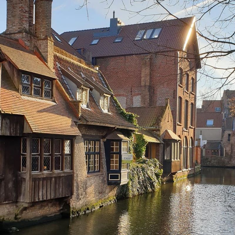 Brussels Private Tour - The houses made with wood from the 16th century in Brugge