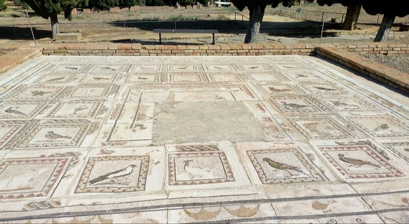 Seville Private Tour - Mosaic of Birds, Itálica