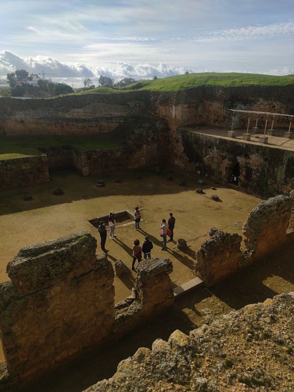 Seville Private Tour - Guiding a group in Carmona, Sevilla