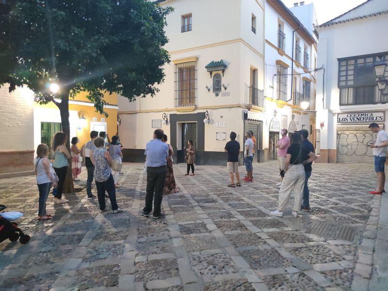 Seville Private Tour - Guiding a group in Santa Cruz Quarter