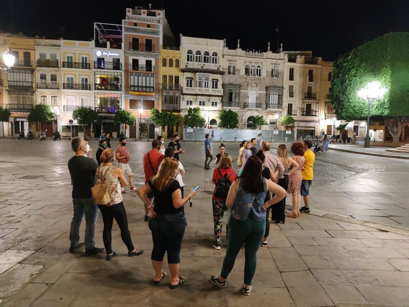 Seville Private Tour - Guiding a group in San Francisco Square