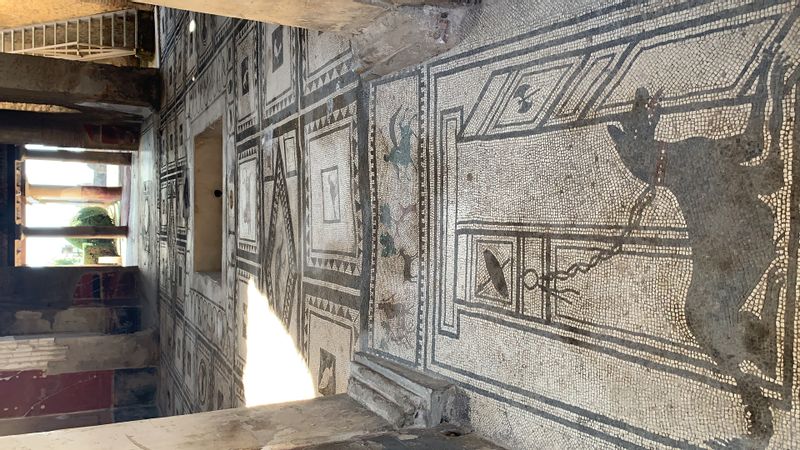 Pompeii Private Tour - mosaic floor that characterizes the atrium of the typical Pompeian house. 