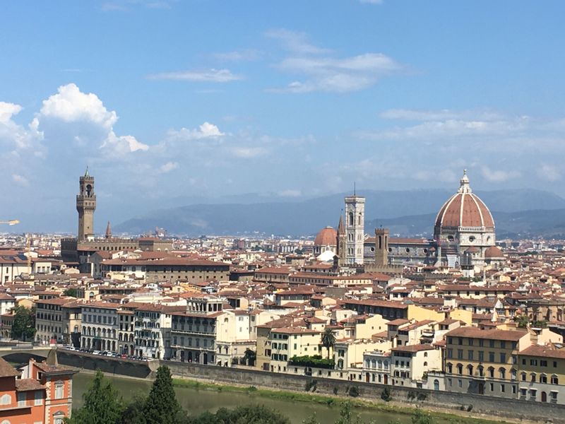 Florence Private Tour - Florence seen from the hillside