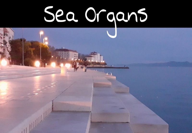 Zadar Private Tour - Sea Organs