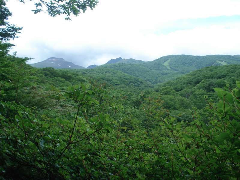 Tochigi Private Tour - Nasu moutains