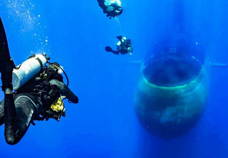 Izmir Private Tour - Wreck (Artificial Reef)