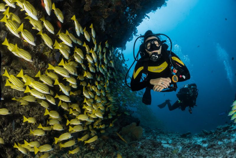 Izmir Private Tour - Sığacık (A Pack of Fish)