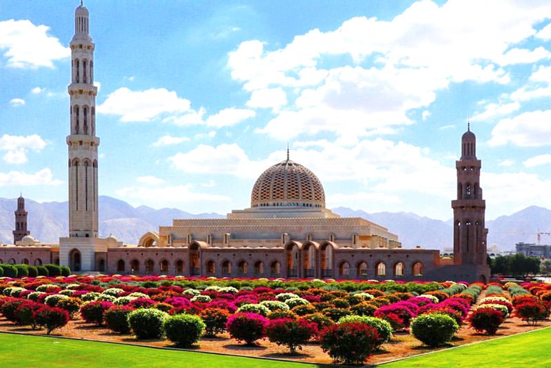 Muscat Private Tour - null