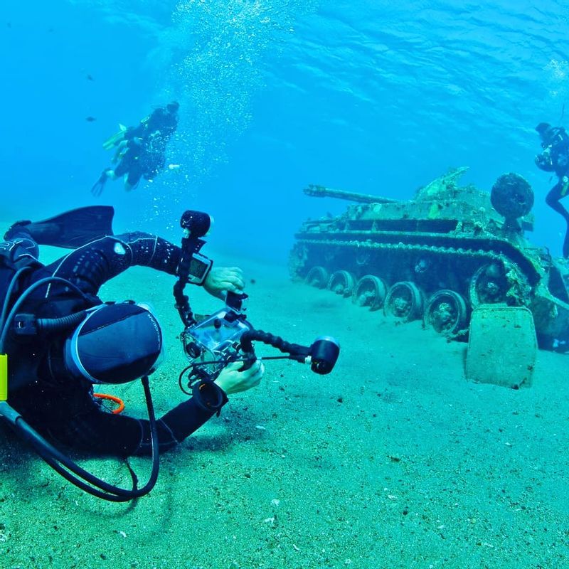 Izmir Private Tour - Tank Wreck