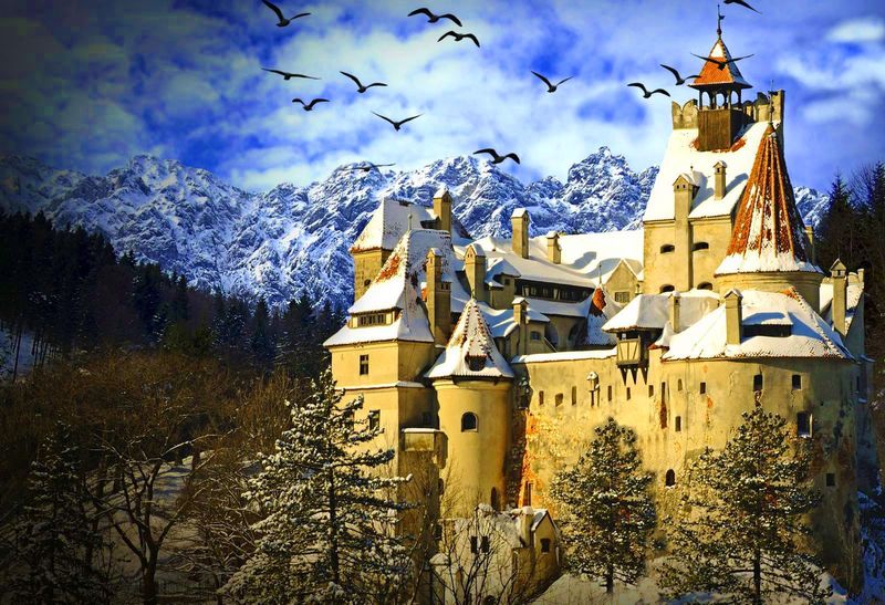 Bucharest Private Tour - Dracula Castle in Bran