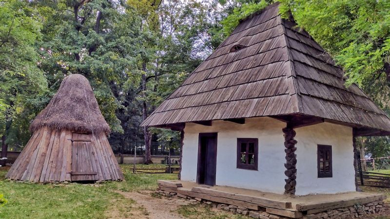 Bucharest Private Tour - Village museum "Dimitrie Gusti"