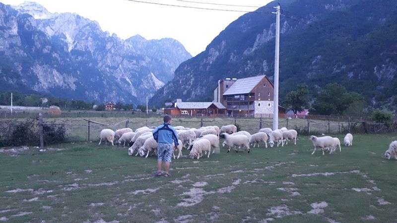 Tirana Private Tour - My son loves the animals