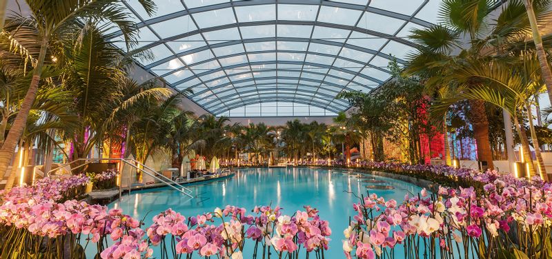 Bucharest Private Tour - Indoor pool at Therme