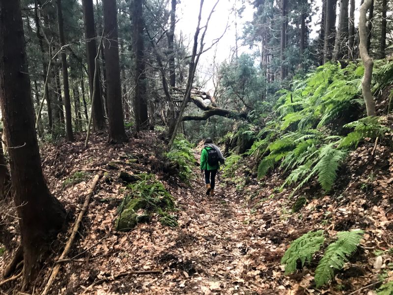 Miyagi Private Tour - if you want to explore more in yamadera, there is a hiking course in the mountain in Yamadera.
I can extend the tour if you request it!