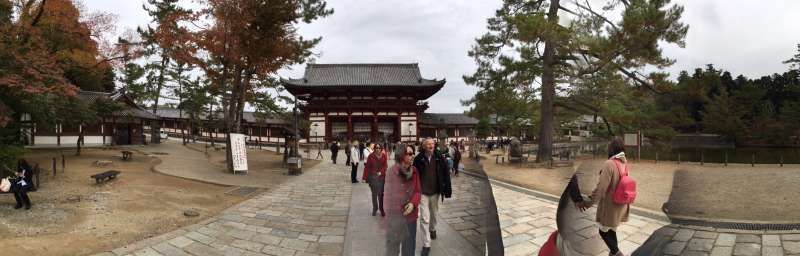 Nara Private Tour - An approach to the main hall of Todaiji