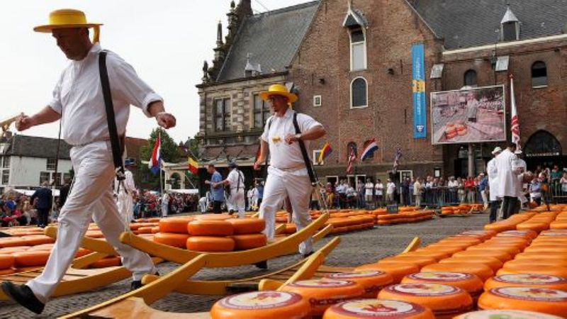 Alkmaar Private Tour - Chesse Market