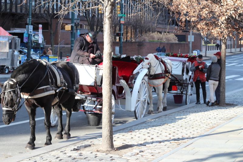 Philadelphia Private Tour - Carriages for hire.