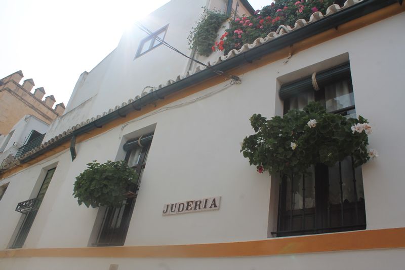 Seville Private Tour - A street in the Santa Cruz Section.