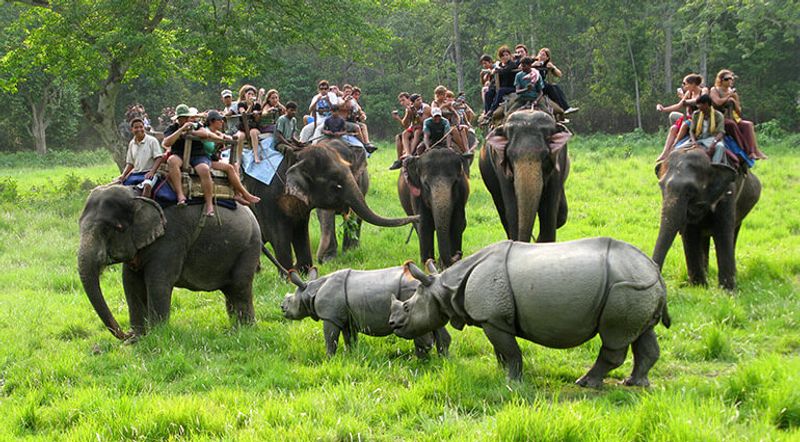 Kathmandu Private Tour - Chitwan National park Safari by Elephant 