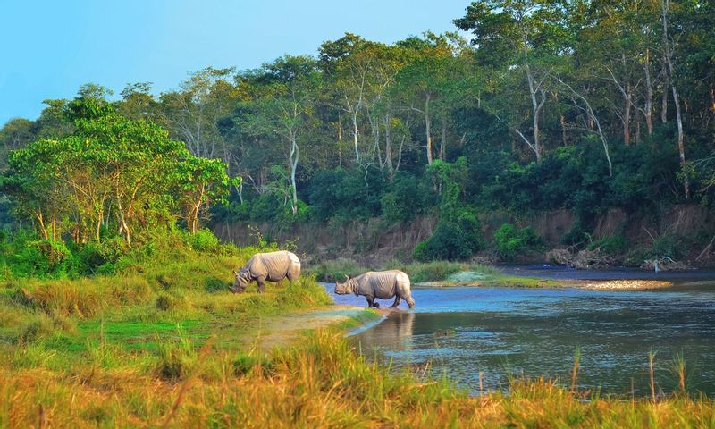 Kathmandu Private Tour - Chitwan National Park safari 
